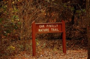 Oak Pinolly Nature Trail, Santee State Park