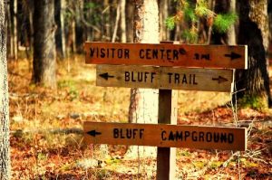 <b>Bluff Junction</b><br> Continue straight to Bluff Campground. Spur trail to the right goes to the Harry Hampton Visitors Center.