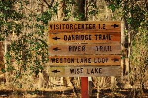 <b>Junction of trails</b><br> Sign at the end of Sims Trail next to Cedar Creek and Wise Lake.