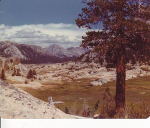 <b>Upper Kerrick Meadow</b><br> Upper Kerrick Meadow, Yosemite National Park