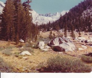 Yosemite National Park - Hoover Wilderness