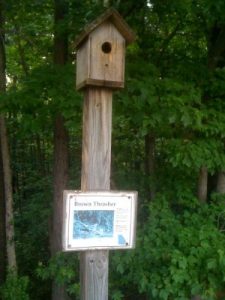 <b>Bird House</b><br> One of a number of bird houses along the trail.