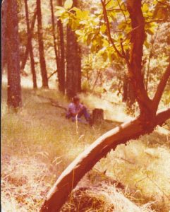 <b>Pacific Madrone Along the Lake Trail</b><br> Madrone is part of the chaparral plant group. Here is the transition area between chapparal and douglas-fir forest (in the background).