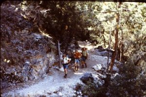 <b>Trail Near Tiltill Creek</b><br> The trail passes through mostly oak and chaparral woodland interspersed with open rocky areas.