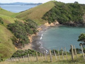 <b>Black Sand Beach</b><br> Here the trail descends steeply to just above the beach, before turning south toward Mimiwhangata Bay.