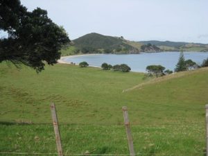 <b>Mimiwhangata Bay</b><br> This is the view from the hill above Kaituna Bay.