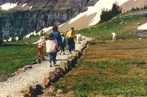 <b>The Trail to Hidden lake</b><br> And the goats shall lead them.