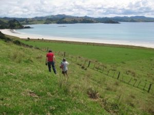 <b>Mimiwhangata Bay</b><br> Debbi and Dan descending the ridge to Mimiwhangata Beach.