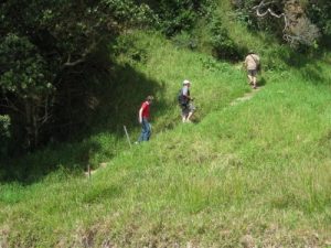 <b>Debbi, Sean, and Dan</b><br> Ascending the steps up off the south end of Mimiwhangata Beach.