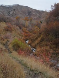 <b>A Bit of Fall Color Still Left</b><br> The upper reaches of Battle Creek Canyon looking up the face of Mt. Timpanogos.