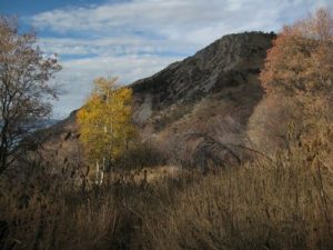 <b>Indian Springs</b><br> This is just above the top of Grove Creek Canyon, where we descend to the trailhead.