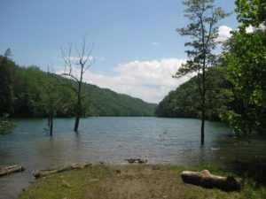<b>Fontana Lake</b><br> We saw a nest of snakes to the left and lower right just above this log. From what we could tell, this area is usually not underwater.