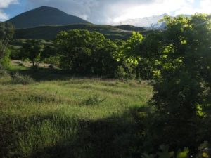 <b>Bonneville Shoreline Trail</b><br> From the BST looking toward Dry Canyon.