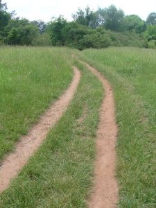 <b>Trail through A Field</b>