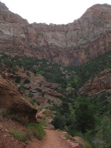 <b>East Wall of Zion Canyon</b><br> Watchman Trail climbs 300' up the back of this small canyon and then goes around to the right and out onto a ridge overlooking the canyon.
