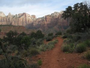 <b>View of the West Wall</b><br> Near the top of the ridge, this is the view across Zion Canyon to the west wall.