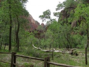 <b>Zion Canyon</b><br> Looking down Zion Canyon from Temple of Sinewava.