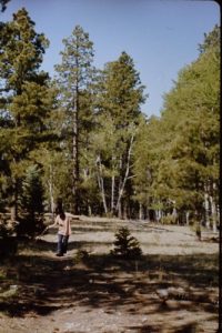 <b>What a Beautiful Day!</b><br> Madeline dancing on the Widforss Trail. 5/28/72