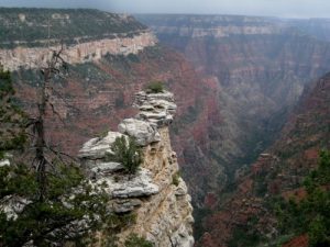 <b>The Transept</b><br> View from the Widforss Trail, 2.5 mi from trailhead. 6/12/10