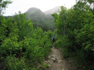<b>Deer Creek Trail</b><br> For the first mile, the trail is largely wooded as it climbs the canyon wall.