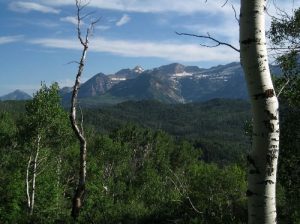 <b>Mt. Timpanogos</b><br> As viewed from the Old Trench Road Trail, near the top. 7/9/10