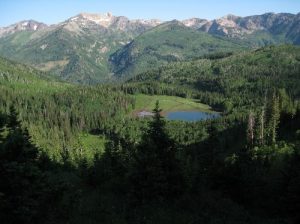 <b>Forest Lake</b><br> Forest Lake seen from the Great Western Trail. 7/10/10