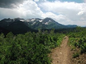 <b>Great Western Trail</b><br> Here the trail descends across this ridge top into upper Mill Canyon. Mt. Timpanogos in the background. 7/10/10