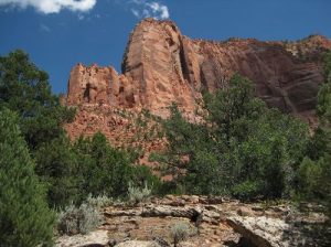 <b>South Side of Nagunt Mesa</b><br> Looking up at Nagunt Mesa from the LaVerkin Creek Trail.