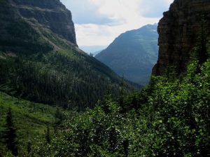 <b>Bowman Valley from Chapman Peak</b><br> Looking back down into Bowman Valley from near the top of the climb into Brown Pass. That's Bowman Lake in the distance. 7/28/2010