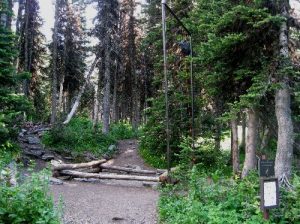 <b>Brown Pass Campsite</b><br> Food preparation area and bear pole at Brown Pass campground. 7/28/2010