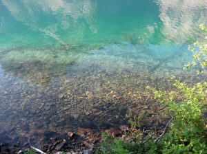 <b>Clear Waters of Upper Kintla Lake</b><br> Upper Kintla Lake from the trail. 7/30/2010