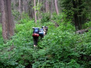 <b>Hiking Companions</b><br> From the Top of Kintla Lake campground to the trailhead, these 3 kids were my hiking companions. 7/30/2010