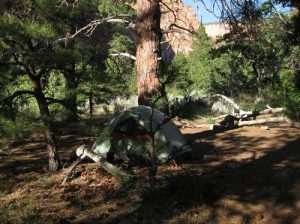 <b>LaVerkin Creek Campsite #13</b><br> My campsite was just above LaVerkin Creek and nicely shaded by ponderosa pines -- a beautiful spot. 8/20/10