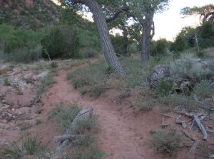 <b>LaVerkin Creek Trail</b><br> Here is the soft sandy part of the trail in the lower part of LaVerkin Canyon. 8/21/10