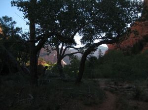 <b>LaVerkin Creek Canyon</b><br> The upper part of the canyon is catching the morning sunlight. 8/21/10