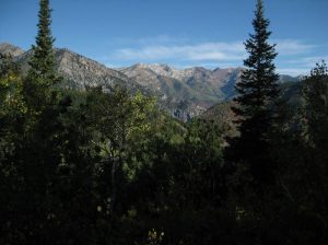 <b>Lone Peak Wilderness</b><br> Looking north from Bear Canyon Trail #179. 9/18/10