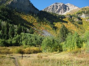 <b>Julie Andrews Meadow</b><br> Great Westeern Trail in fall colors. 9/18/10