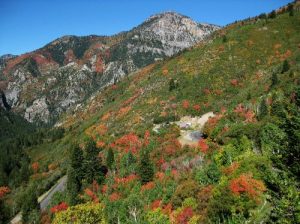 <b>Pine Hollow Trail Head</b><br> Fall colors dot the slopes around the Pine Hollow Trail Head. 9/18/10