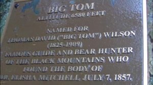 <b>Big Tom Summit</b><br> Second of 4 summits on Deep Gap Trail...
