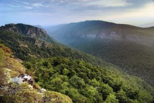 Pisgah Nat'l Forest - Harpers Creek