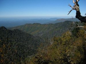 <b>View from Masa Knob</b><br> Looking into Tennessee from the trail along the north slope of Masa Knob.