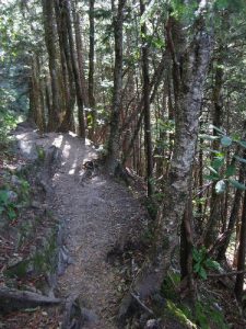 <b>Tennessee Side of Mount Ambler</b><br> The Appalachian Trail has some steep drop-offs on this side of Mt. Ambler.