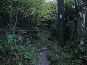 <b>Appalachian Trail</b><br> The AT is well marked with white blazes.