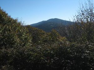 <b>Clingmans Dome</b><br> Clingmans Dome as viewed from Silers Bald.