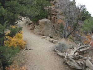 <b>Warner Point Trail</b><br> This is the saddle between the two ridges.