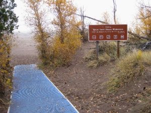 <b>Great Sand Dunes National Park</b><br> Trail head in the picnic area.