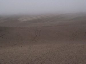 <b>Great Sand Dunes</b><br> Once across Medano Creek, you start climbing the dunes.
