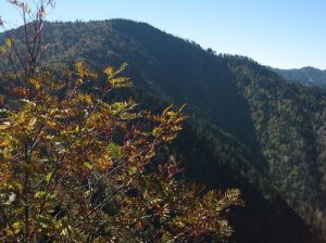 <b>Mt. Ambler</b><br> Mt. Ambler as seen from Charlies Bunion. Newfound Gap is on the far side of the mountain. 10/9/10