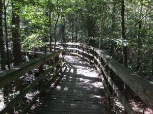 <b>Upper Boardwalk</b><br> This is near the visitor center. 10/10/10