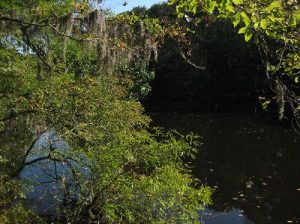 <b>Weston Lake</b><br> Talk about dark and calm water. 10/10/10